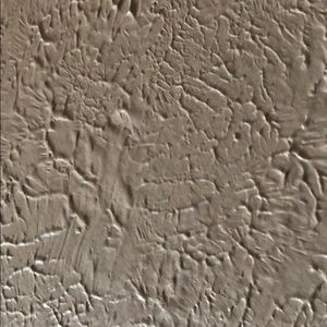 Meet your Posher, Bear